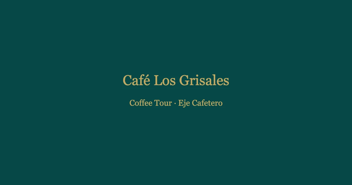 Promenade dans la plantation de café dans l'Eje Cafetero lors du Coffee Tour de Café Los Grisales
