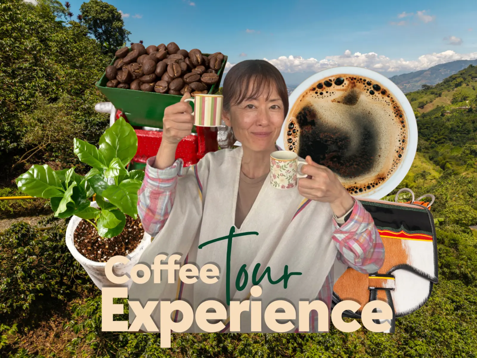 Coffee Tour Experience de Café Los Grisales: una visitante con tazas de café entre los cafetales cerca de Pereira